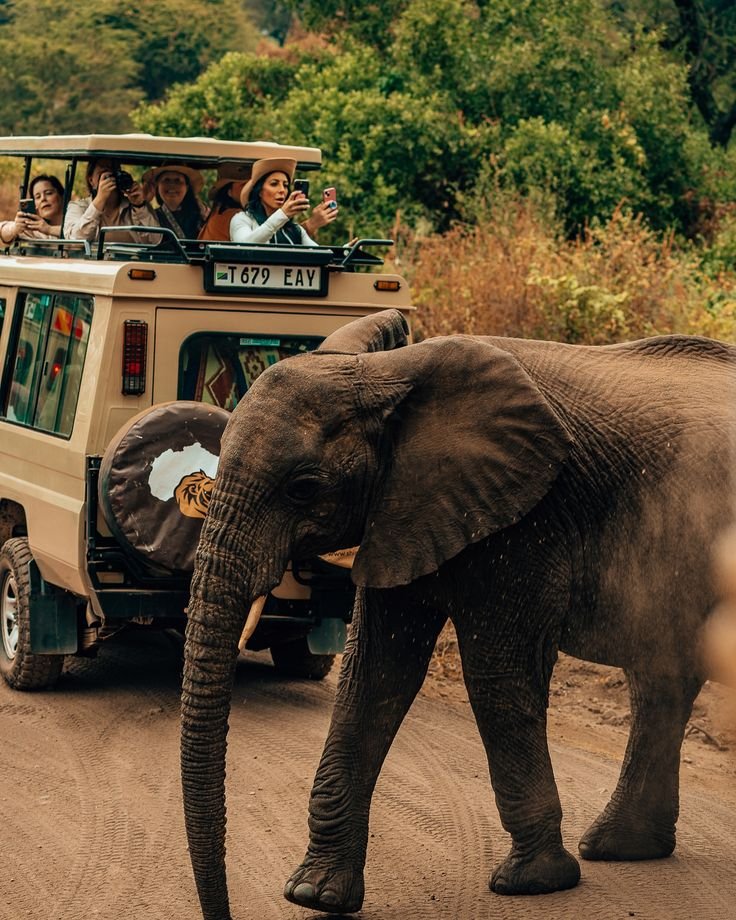 203690003992303b2c5c31bf5adfc597