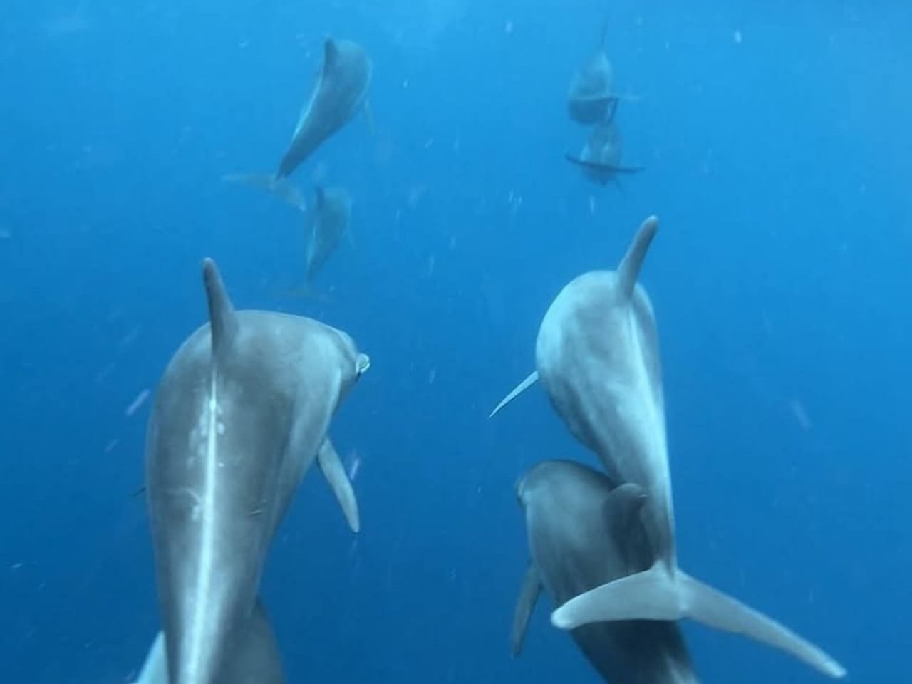 WhatsApp Image 2026-02-09 at 10.57.21 AM