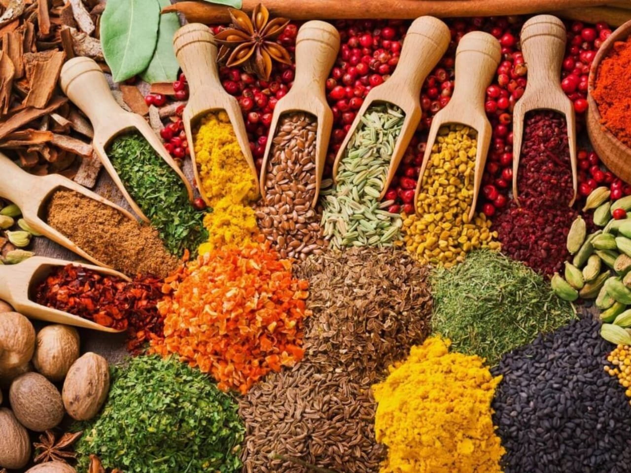 WhatsApp Image 2026-02-09 at 10.57.22 AM