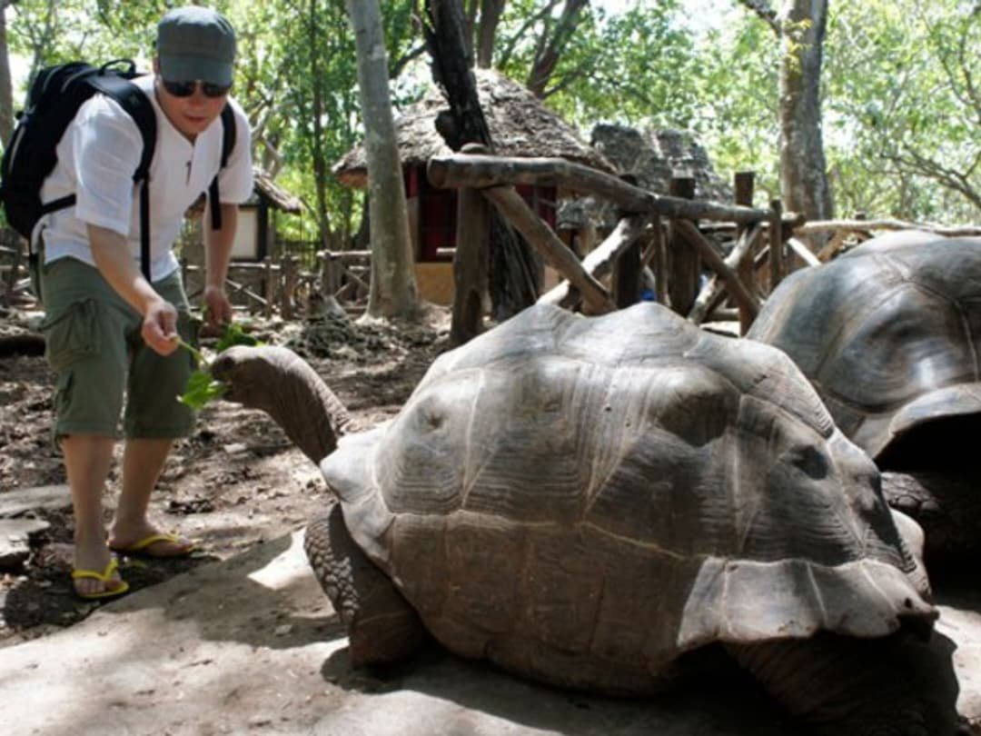 WhatsApp Image 2026-02-09 at 10.57.23 AM (1)