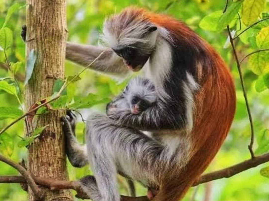 WhatsApp Image 2026-02-09 at 10.57.32 AM