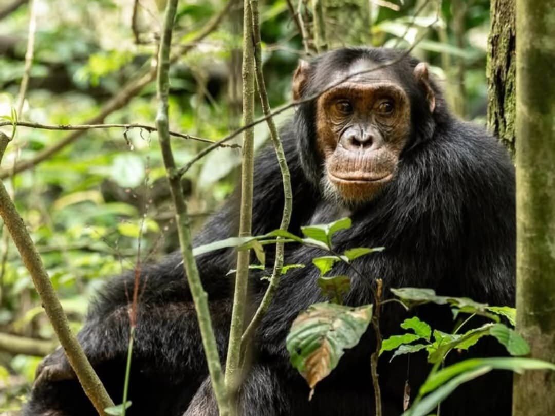 WhatsApp Image 2026-02-27 at 11.25.25 AM