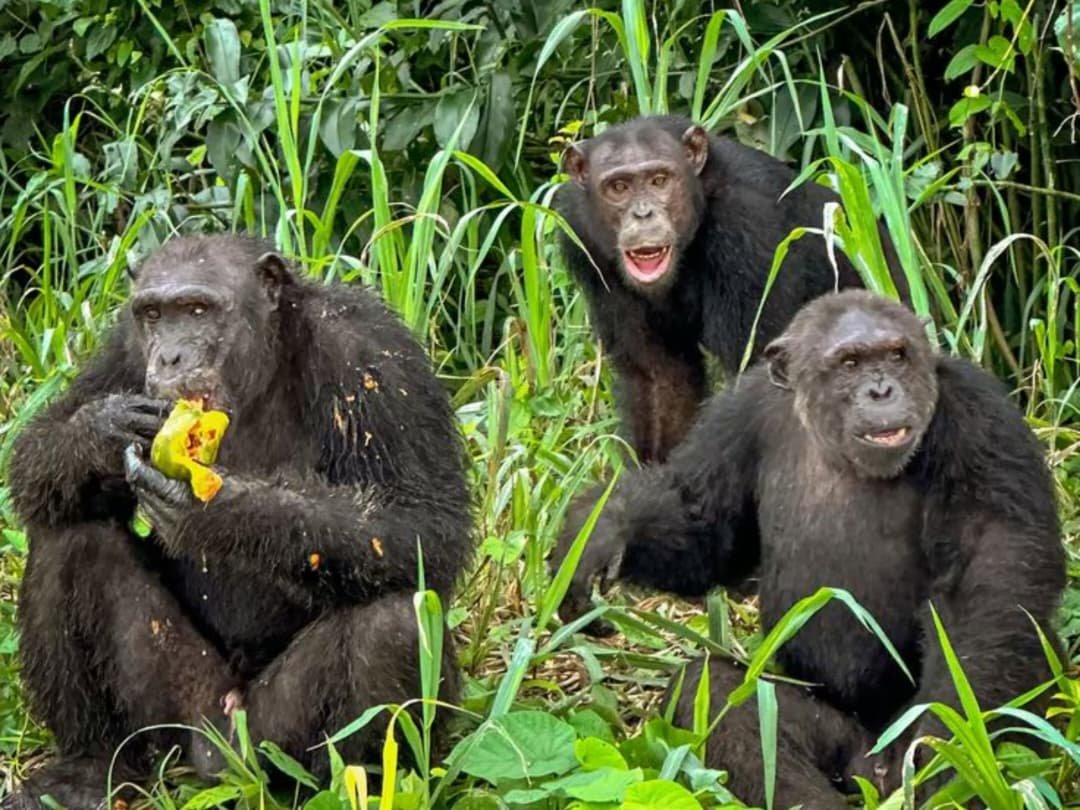 WhatsApp Image 2026-02-27 at 11.25.26 AM