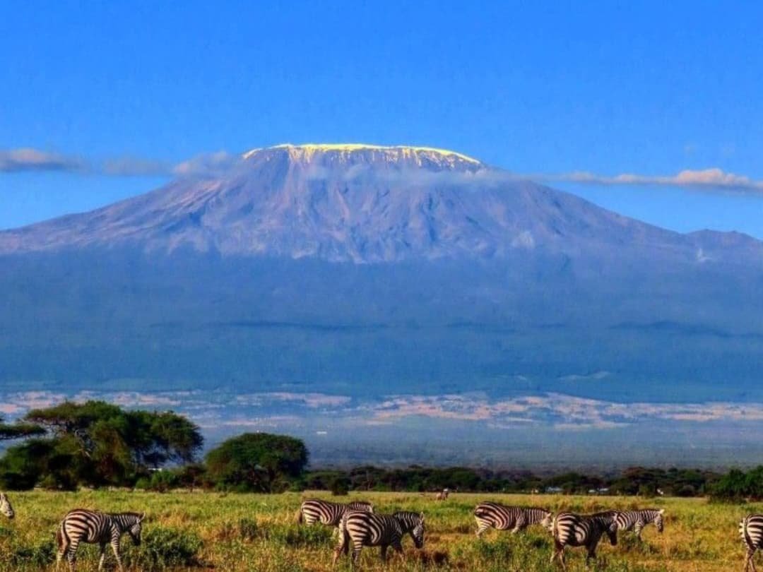 WhatsApp Image 2026-02-27 at 11.32.38 AM (2)