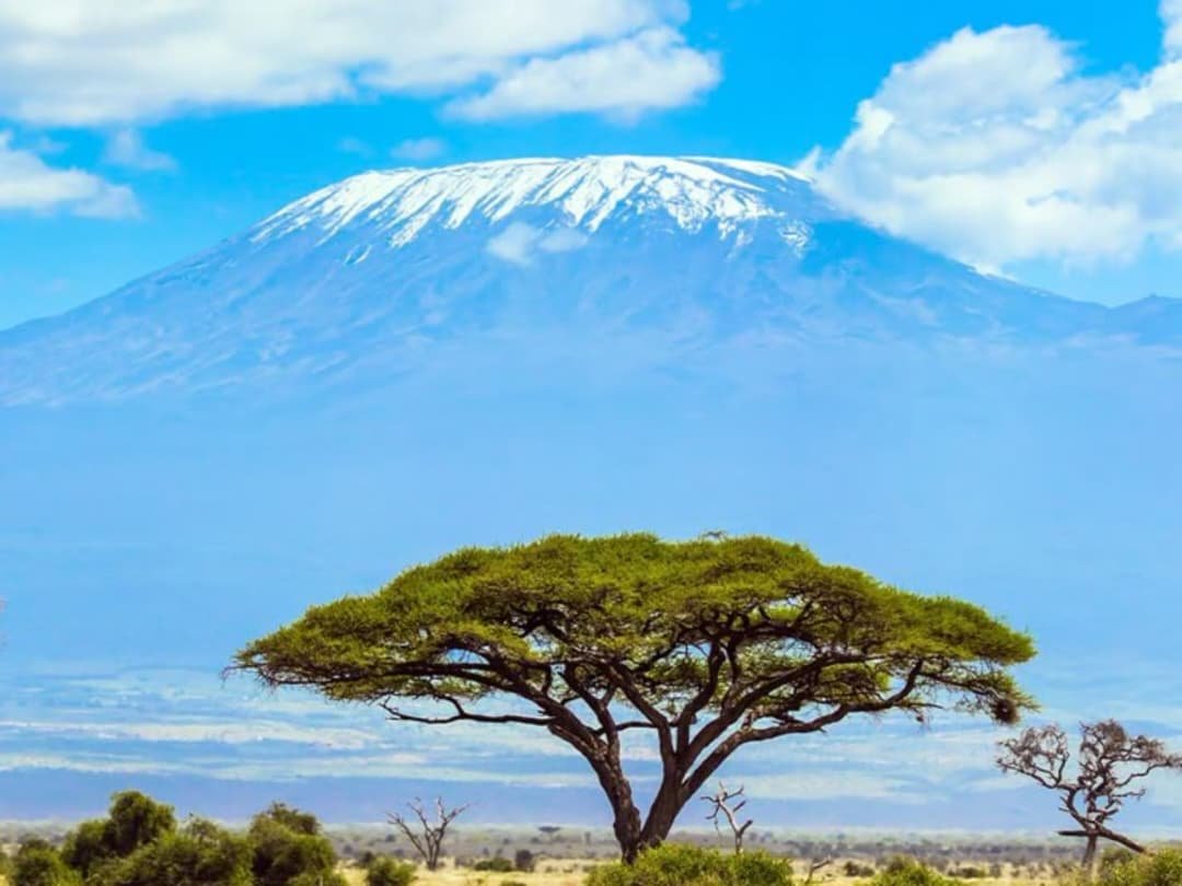 WhatsApp Image 2026-02-27 at 11.32.38 AM