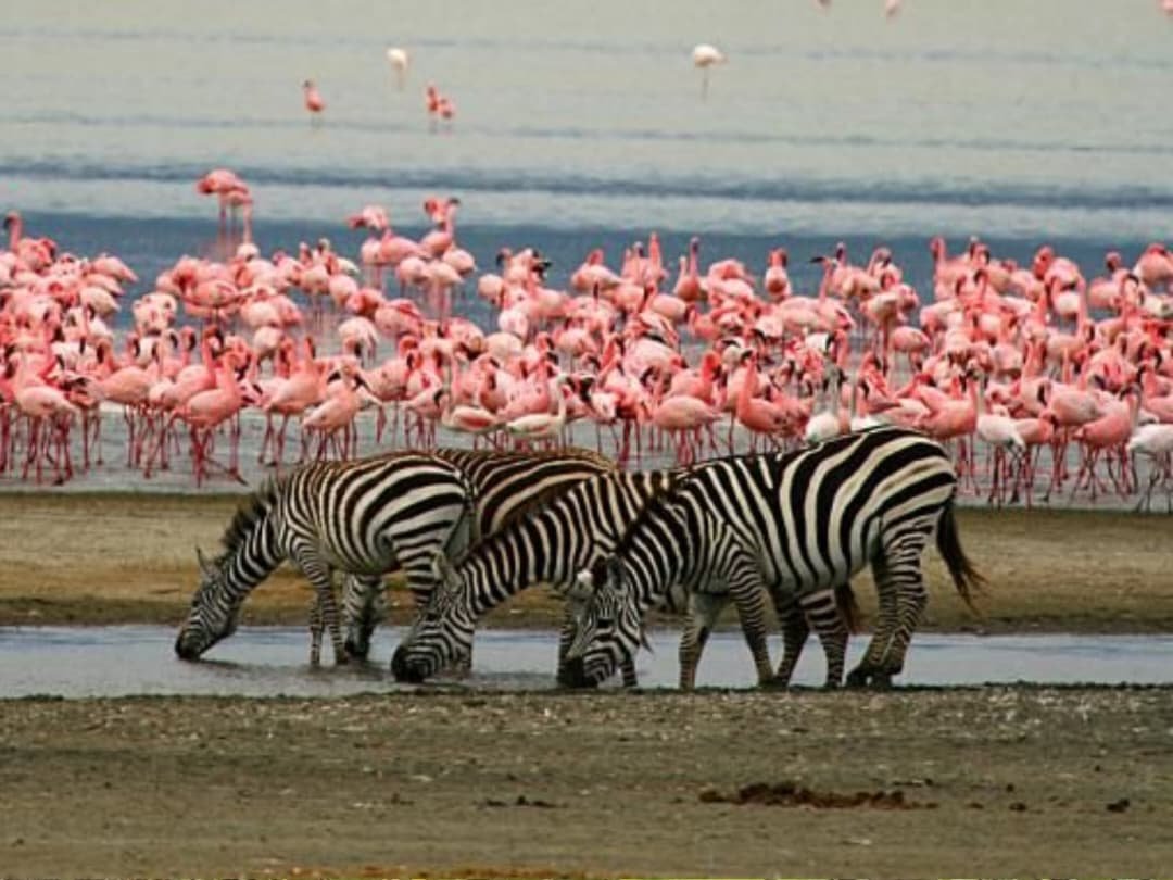 WhatsApp Image 2026-02-27 at 11.33.43 AM (1)