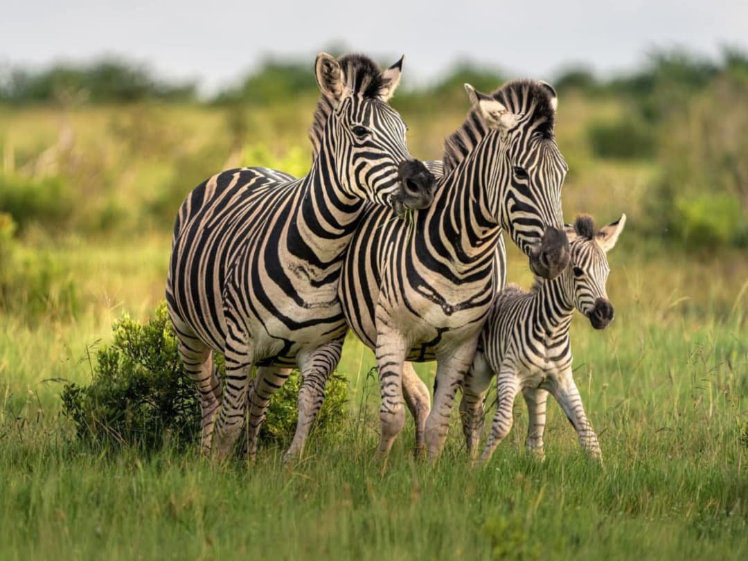 WhatsApp Image 2026-02-27 at 11.33.43 AM