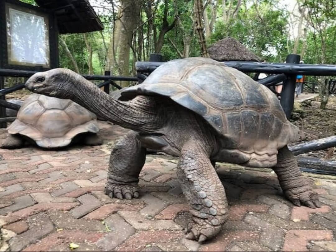 WhatsApp Image 2026-02-27 at 11.56.11 AM (1)