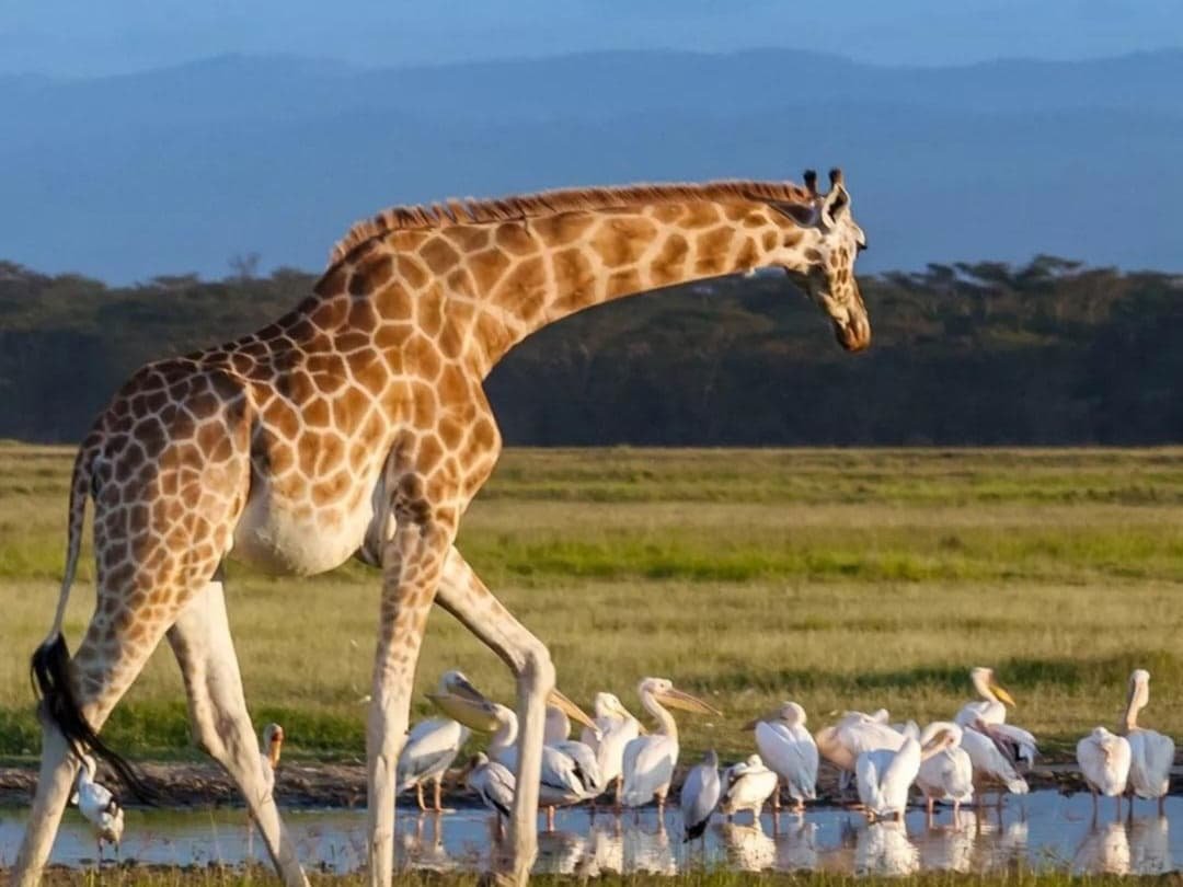 WhatsApp Image 2026-02-27 at 11.56.12 AM (2)