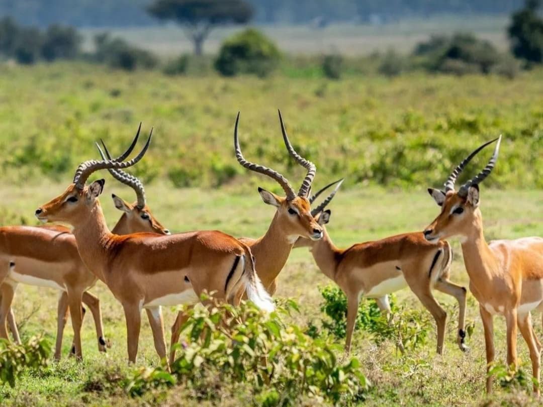 WhatsApp Image 2026-02-27 at 11.56.12 AM (3)