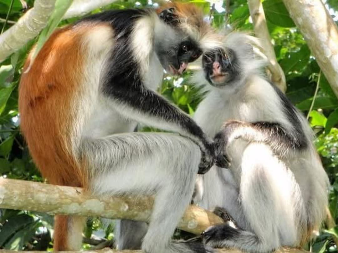 WhatsApp Image 2026-02-27 at 11.56.12 AM