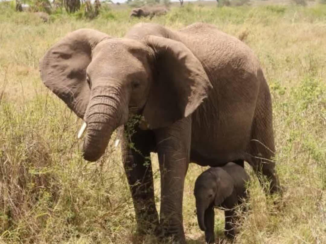 WhatsApp Image 2026-02-27 at 11.56.13 AM (2)