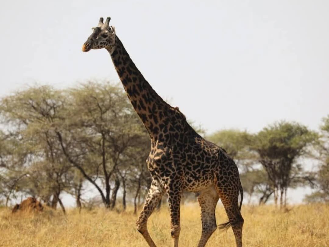 WhatsApp Image 2026-02-27 at 11.56.14 AM (1)