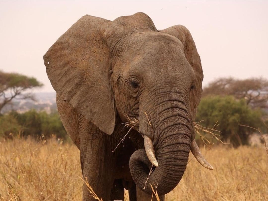 WhatsApp Image 2026-02-27 at 11.56.14 AM