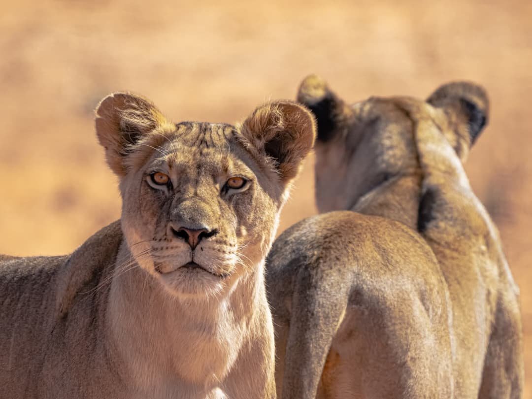 WhatsApp Image 2026-02-27 at 11.56.15 AM (1)