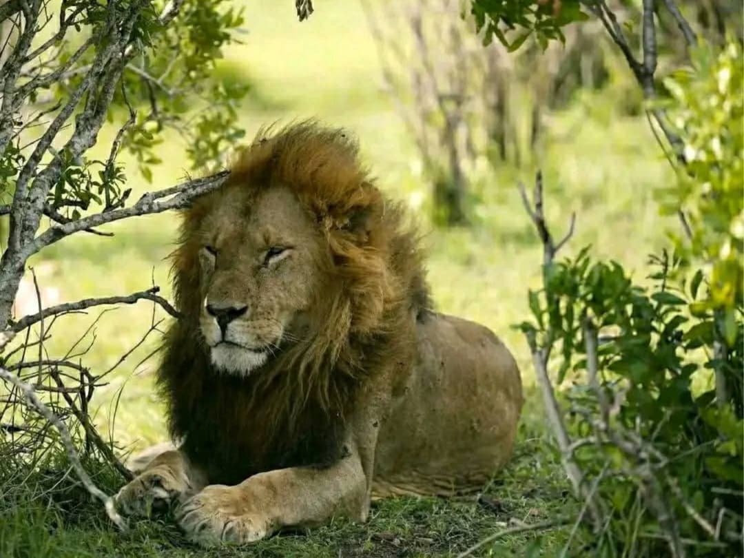 WhatsApp Image 2026-02-27 at 11.56.18 AM (1)