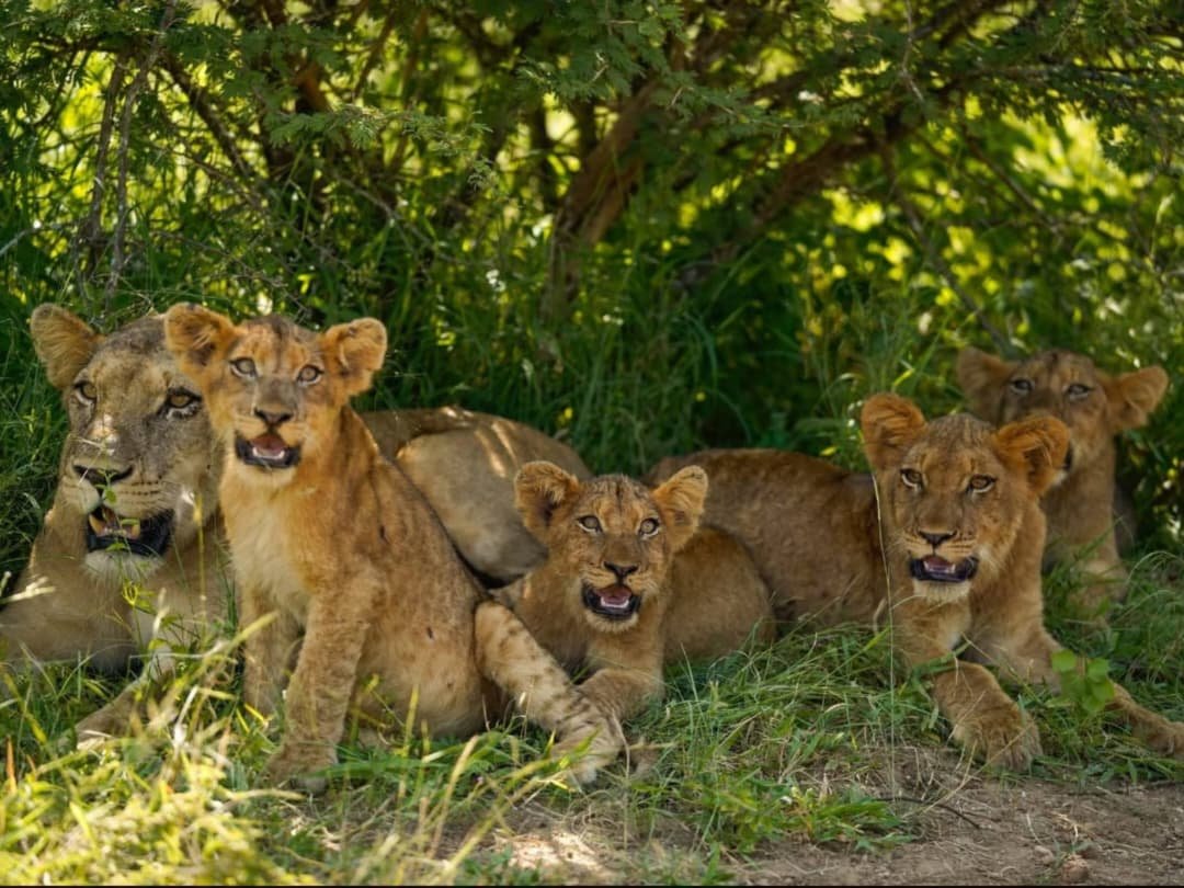 WhatsApp Image 2026-02-27 at 11.56.18 AM