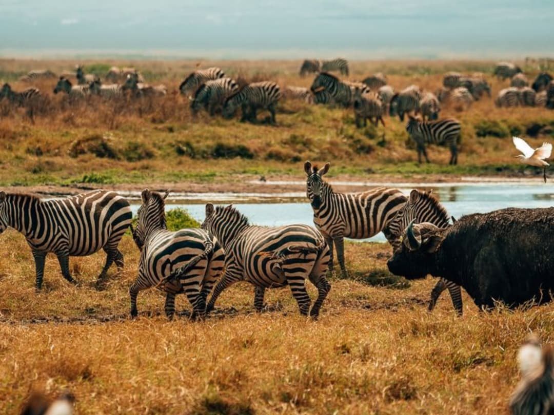 WhatsApp Image 2026-02-27 at 12.52.15 PM (1)