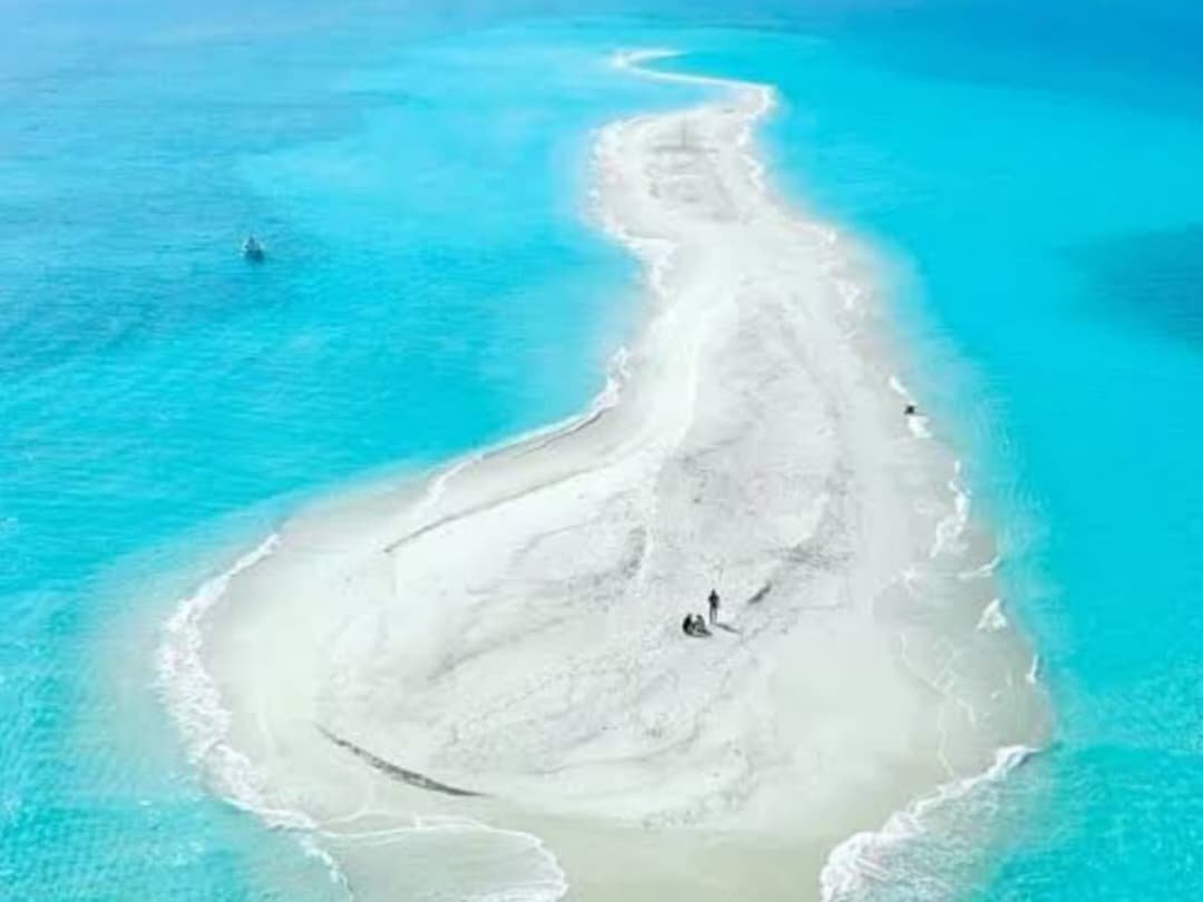 WhatsApp Image 2026-02-28 at 7.27.28 AM