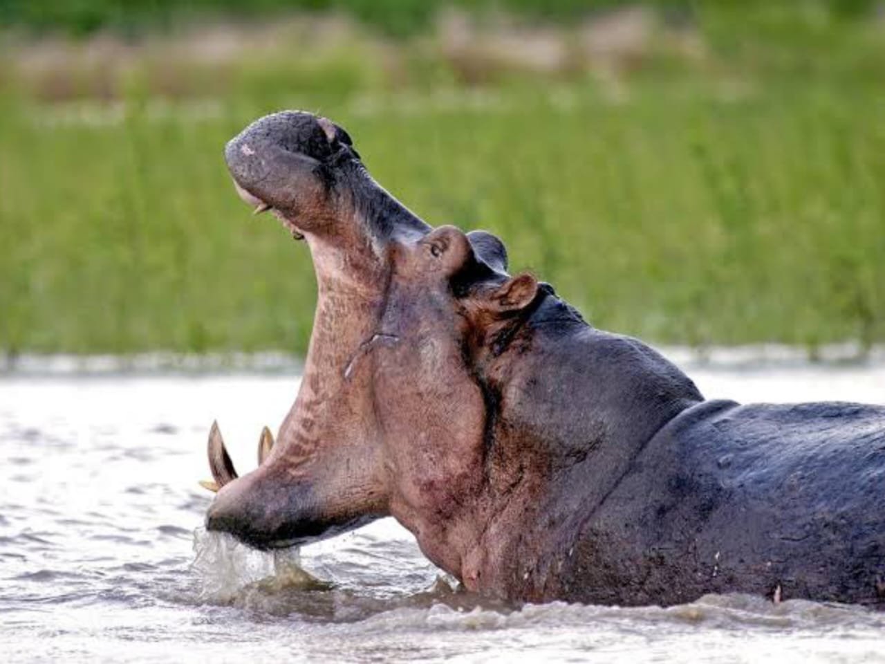 WhatsApp Image 2026-03-04 at 9.00.02 PM (1)