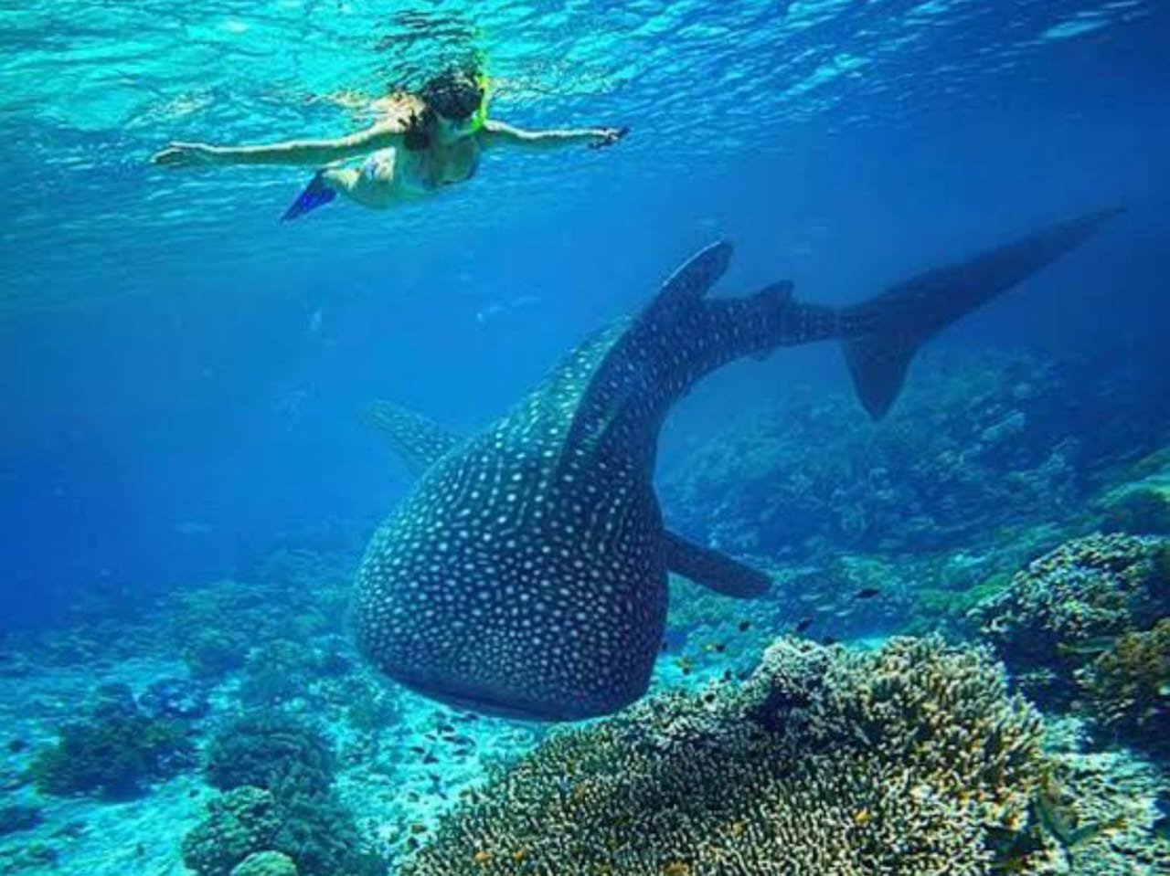 WhatsApp Image 2026-03-04 at 9.00.32 PM – Copy